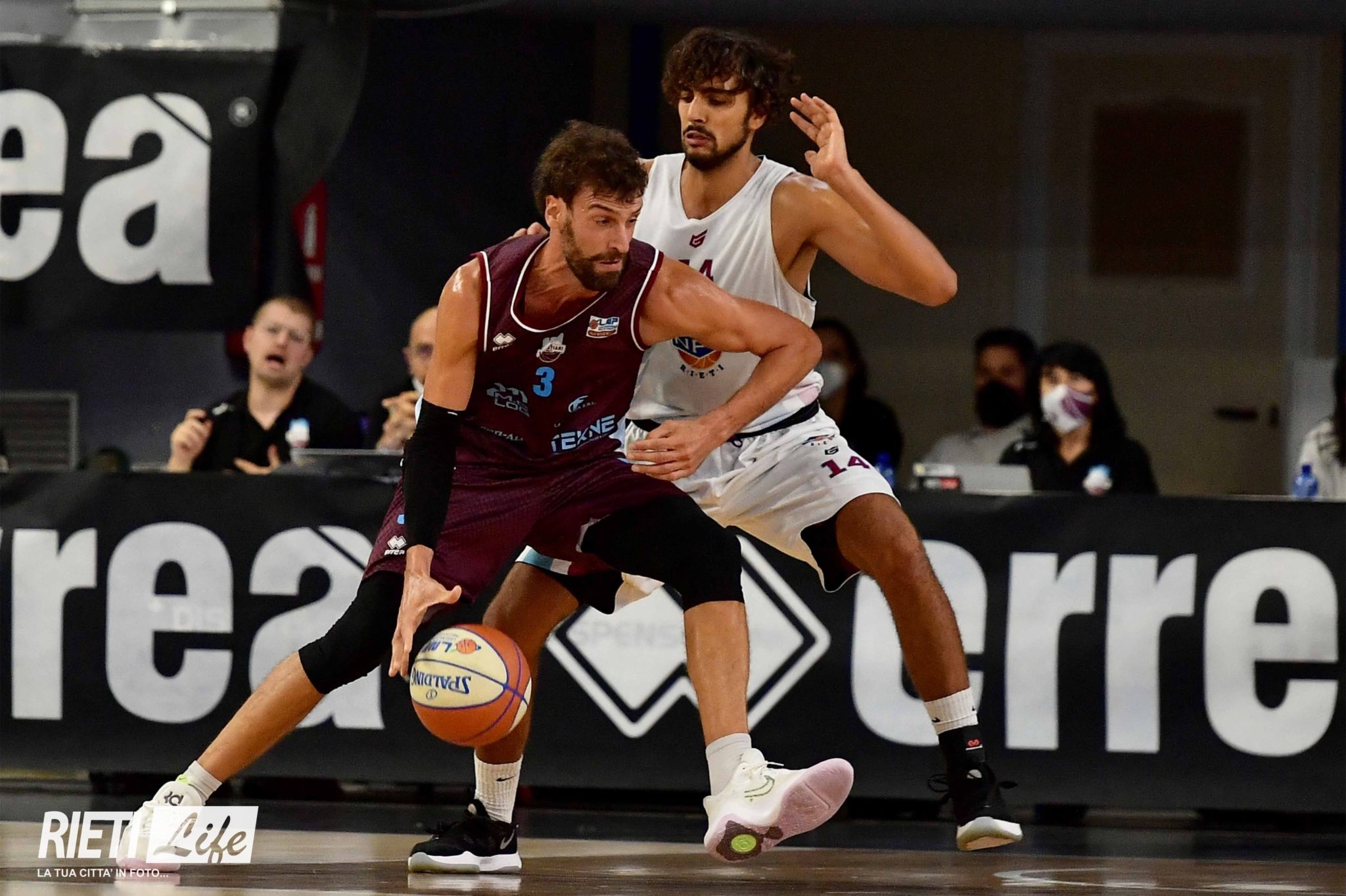 Basket è tempo di playoff tutto quel che c è da sapere su Npc e Real