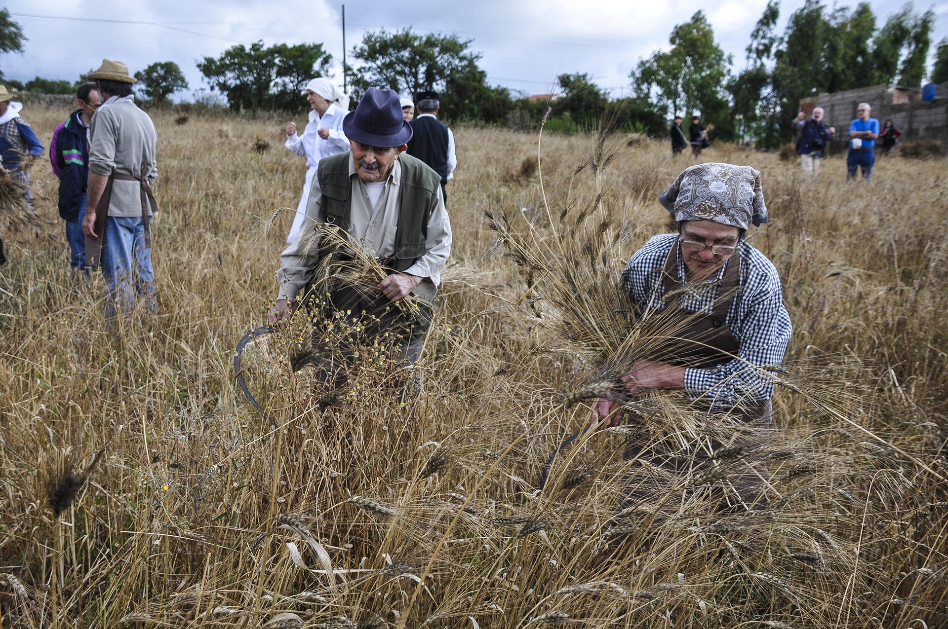 STUFA PIROLITICA – Tularù