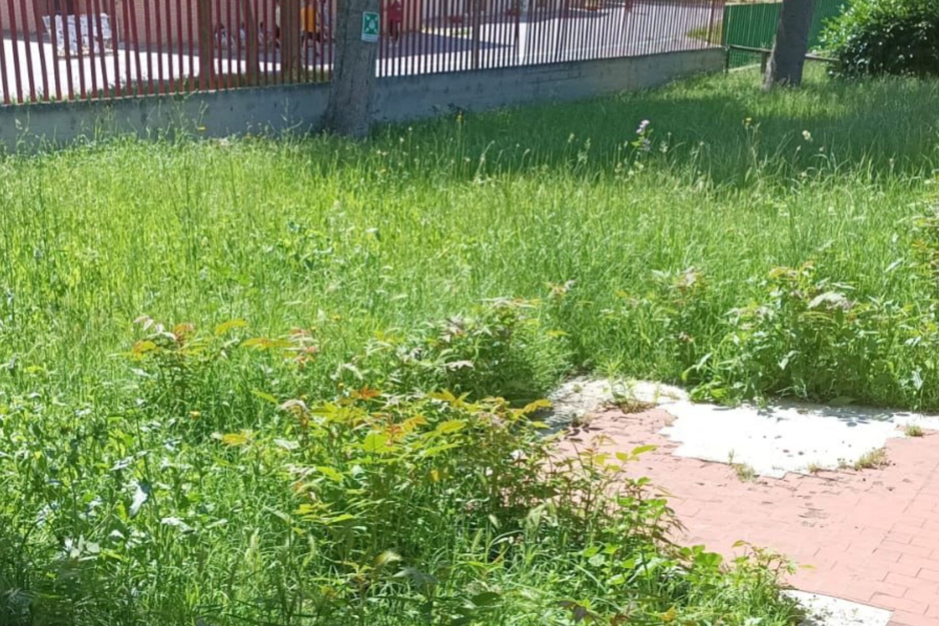 “Tagliate l’erba nel giardino della scuola dell’infanzia di Villa